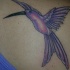 colibri viola tatuaggio