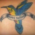 scritti latino con colibri tatuaggio