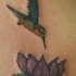 colibri con loto viola tatuaggio