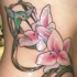 elegante colibri con fiori rosa tatuaggio