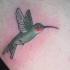 tatuaje de colibrí en estilo clásico