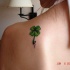 verde quadrifoglio tatuaggio sulla spalla