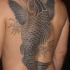 largo nero koi   tatuaggio sulla schiena