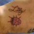 Le tatouage de coccinelle sur la main