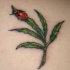 Le tatouage de minuscule coccinelle sur une plante
