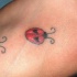 tre coccinella  sul piede tatuaggio