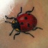 realistica coccinella colorata tatuaggio