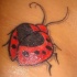 Le tatouage de coccinelle avec un cœur sur le dos