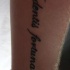 Le tatouage d'inscription Audentes fortuna juvat