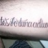 Tatuaje en pierna de una frase en latín