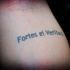 fortes et veritas citazione tatuaggio