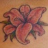 El pequeño tatuaje de un Lirio