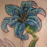 El tatuaje  de un Lirio de color azul