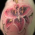 El tatuaje de un Lirio color rosa y negro con unos puntos negros en los petalos y unas guias verdes alrededor