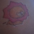 El tatuaje chico pequeño de un leon en estilo chino en color