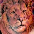 El tatuaje realista de la cabeza de un leon en color