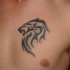 El tatuaje tribal en el pecho de la cabeza de un leon