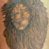 El tatuaje de la cabeza de un leon con una melena grande detallada hecho a color
