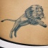 El tatuaje realista de un leon brincando en salto en color negro