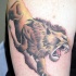 El tatuaje de un leon rugiendo en color