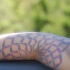 el tatuaje surrealista de una flor de loto hecho en color en el brazo