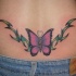 farfalla tribale tatuaggio colorato sulla parte bassa della schiena