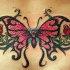 Tatuaggio colorato sulla lombo bellissima farfalla & le rose