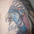 Nativa americana aquila addomesticata tatuaggio