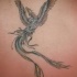 el tatuaje de la ave magica fenix hecho en la espalda