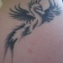 el tatuaje sencillo de la ave fenix en la tinta negra