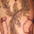 Fenice con geroglifici tatuaggio