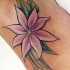 Le tatouage de fleur de lys rose