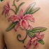 el tatuaje femenino de las flores de lirio de color rosa en la espalda