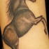 tatuaje realístico de caballo negro