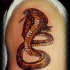 Tatouage réaliste cobra rouge aux nuances jaunes