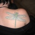 Garn libélula tatuaje en el hombro