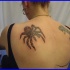 Tatuaje de la araña grande en el hombro