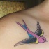 Tatuaggio colorato sulla clavicola l'uccello