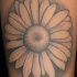 semplice fiore camomilla tatuaggio