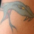 Tatuaggio carino la testa del serpente azzurro