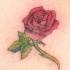 Rosa en color tatuaje tradicional