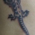El tatuaje chico de una lagartija en 3d