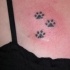 Pequeñas huellas del animal tatuaje en el pecho