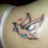 Piccolo tatuaggio sulla spalla il colombo che porta il ramo nel becco