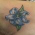 Precioso tatuaje de la flor azul