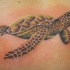 Tatuaggio realistico la tartaruga verde