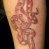 Tatuaggio sulla gamba il serpente marrone rosso