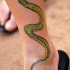 Tatuaggio semplice sulla gamba il serpente piccolo verde