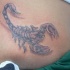 Tatuaggio 3D sulla pancia il scorpione