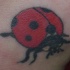 Le tatouage de coccinelle